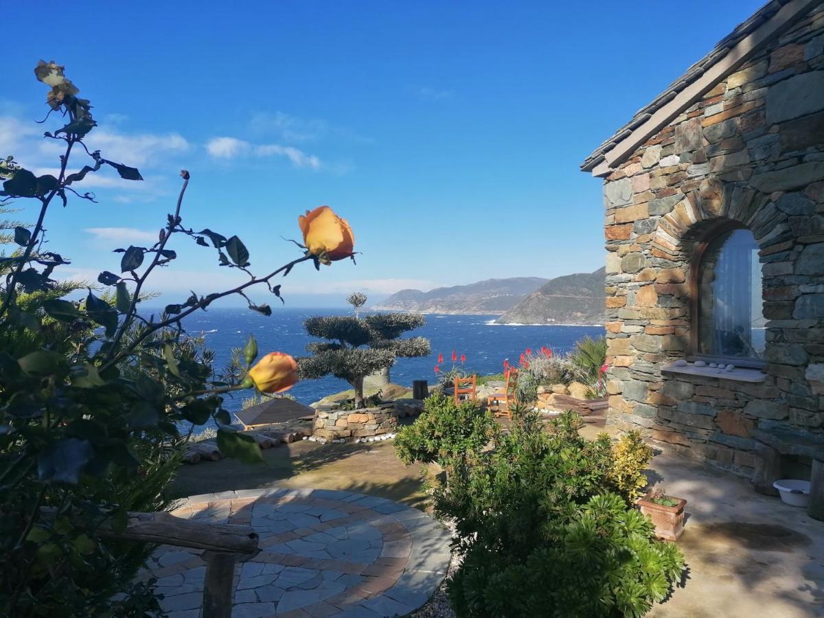 Coin De Paradis Vue Dominante Sur Mer, Montagne Et Tour Genoise Avec Jacuzzi Pino Ngoại thất bức ảnh