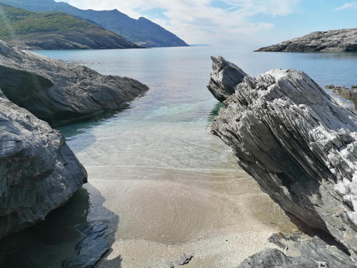 Coin De Paradis Vue Dominante Sur Mer, Montagne Et Tour Genoise Avec Jacuzzi Pino Ngoại thất bức ảnh