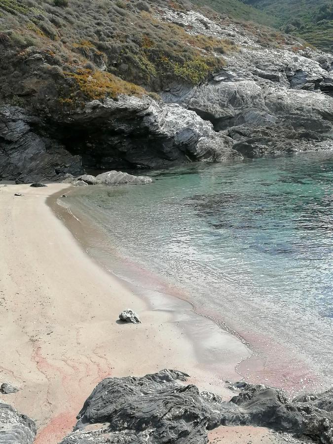 Coin De Paradis Vue Dominante Sur Mer, Montagne Et Tour Genoise Avec Jacuzzi Pino Ngoại thất bức ảnh